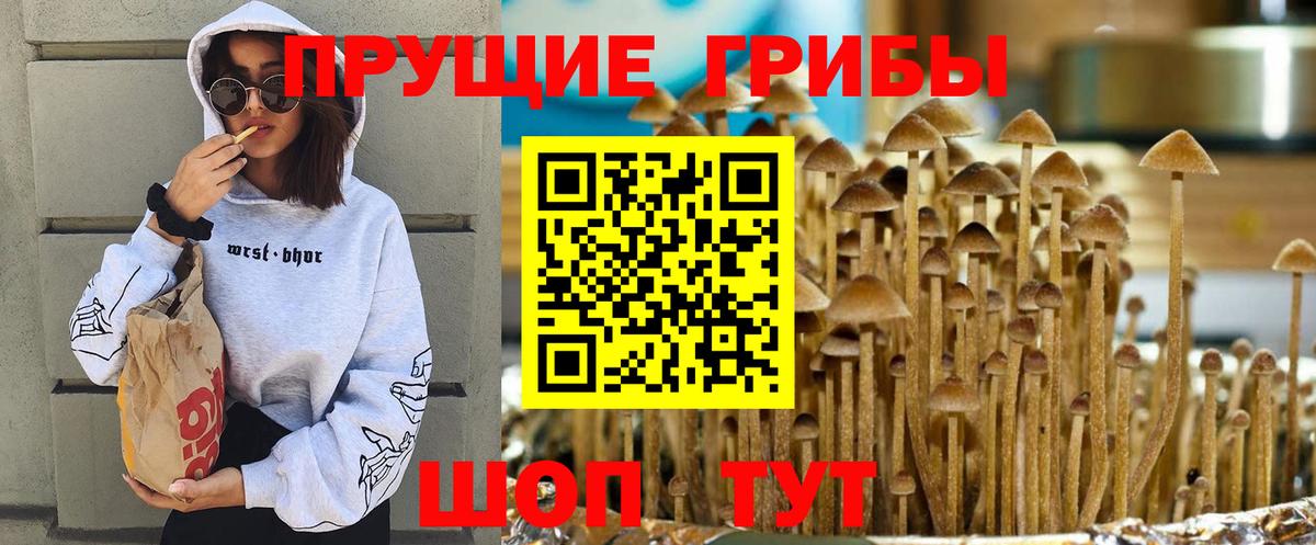 Псилоцибиновые грибы Magic Shrooms  Галлюциногенные грибы мицелий  Южноуральск  Вход с VPN 